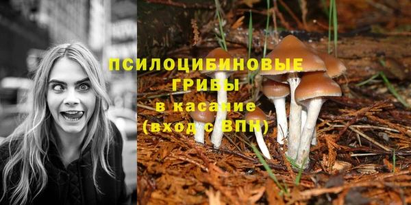 трава Алзамай